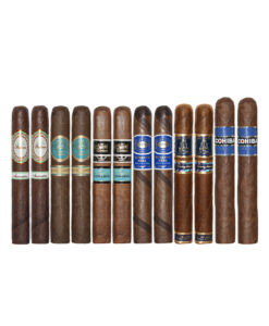 New Year 12ct. Sampler